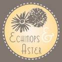 Echinops&Aster